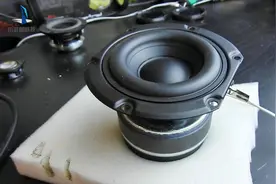 测试一个3.5英寸的双磁扬声器，胶盆泡沫边很给力，音质还不错
