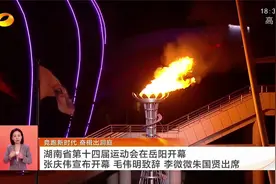 湖南省第十四届运动会在岳阳开幕 张庆伟宣布开幕视频封面