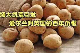 一场大饥荒，引发爱尔兰对英国的百年仇恨视频封面