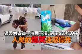 人类的爆笑迷惑操作，婆婆为省钱手洗尿不湿，晒了5天都没干