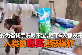 人类的爆笑迷惑操作，婆婆为省钱手洗尿不湿，晒了5天都没干