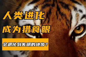 人类进化成猎食者的眼睛，你却让它戴眼镜？年轻人要“耗子煨汁”