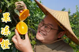号称天然榨汁机的爱媛果冻橙，徒手就能榨汁，山药在果园喝过瘾了视频封面