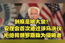 到底是啥大鱼？安理会首次通过涉乌决议，拒绝将俄罗斯称为侵略者视频封面