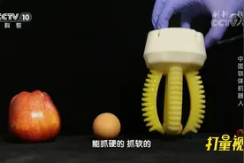相较于刚性机器人，软体机器人究竟有何优点？来看演示|科技之光视频封面