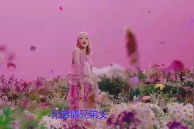 DJ音乐《兄弟情深》，一声兄弟一杯酒，一生兄弟一生情视频封面