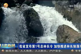 甘肃省发布第1号总林长令 加快推进林长制落地见效视频封面