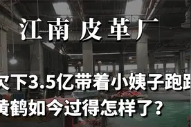 江南皮革厂倒闭了，欠3.5亿逃跑的老板黄鹤，如今怎样了？视频封面