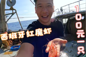 跟韩船长去巴塞罗那出海捕虾——世界上最贵的食材之西班牙红魔虾视频封面