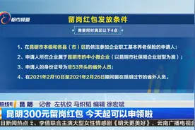 昆明300元留岗红包 今天起可以申领啦视频封面
