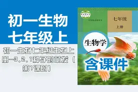 初一生物七年级生物上册-3.2.1种子的萌发【转载】视频封面