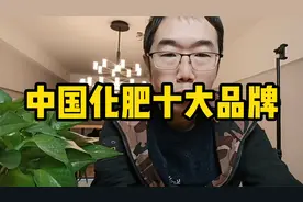 中国化肥十大品牌视频封面