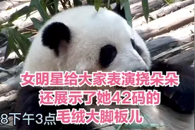 女明星的颜值怼脸拍都不怕，时而挠个朵朵还展示了她42码的大脚板视频封面
