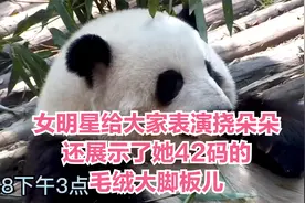 女明星的颜值怼脸拍都不怕，时而挠个朵朵还展示了她42码的大脚板视频封面