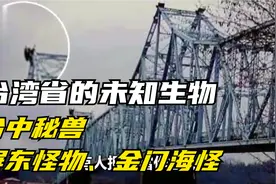 台湾省的未知生物-台中秘兽、屏东怪物、金门海怪视频封面