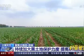 吉林：持续加大黑土地保护力度，提高耕地质量|24小时视频封面