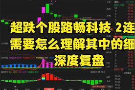 超跌个股路畅科技 2连阳，需要怎么理解其中的细节？深度复盘视频封面
