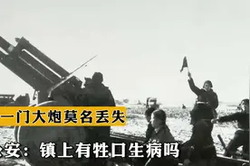 1967年深夜，新疆一门大炮莫名丢失，老公安：镇上有牲口生病吗？视频封面