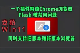一个插件解决Chrome谷歌浏览器Flash被禁用问题