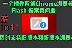 一个插件解决Chrome谷歌浏览器Flash被禁用问题视频封面