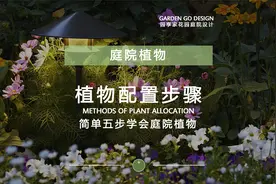 超干货！100秒教会你庭院花园里的植物搭配视频封面