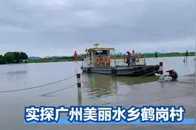广州江高有个水乡叫鹤岗，河的一头是人家一头是田园，钓鱼人胜地视频封面