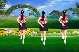 DJ广场舞《言而无信》动感动听，背面演示