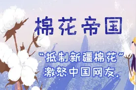 《棉花帝国-下》棉花改变世界格局，从历史出发审视国际贸易纷争视频封面