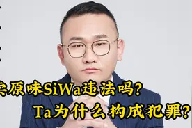 【丁哥说法】卖原味SiWa违法吗？Ta为什么构成犯罪？视频封面