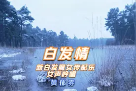 “情”最伤人-《白发情》新白发魔女传配乐-女声凄美、忧伤吟唱