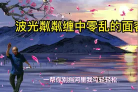 “无可奈何花落去，似曾相识燕归来”这句诗是什么意思？视频封面