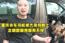 重庆货车司机被大狼狗赖上 走哪跟哪甩都甩不掉视频封面