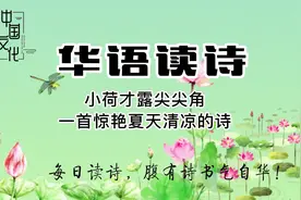 小荷才露尖尖角.mp4视频封面