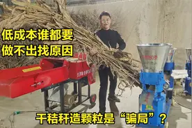 干秸秆造颗粒是"骗局"？低成本谁都想要，做不好找原因，测试260视频封面