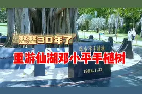 重游仙湖邓小平手植树，整整三十年了，小树苗已长成参天大树。视频封面
