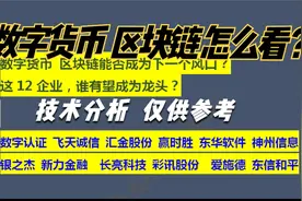 数字货币区块链能否成为下一个风口 这12只概念股 谁有望成为龙头视频封面