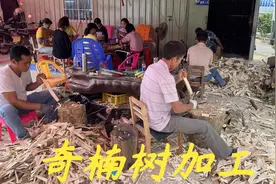 很多网友问老林回收那些奇楠树回来做什么用，今天老林带大家看看视频封面