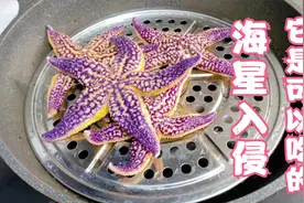 海星入侵青岛，小章赶海抓几个回来吃，有一个注意点大家要切记！视频封面