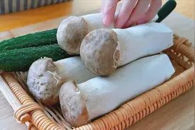 4个杏鲍菇，2根黄瓜，不炒不煮不油炸，简单一做，比吃肉还香！视频封面