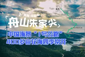 浙江舟山自驾指南，海崖礁石荟萃，海景1号公路不负众望！