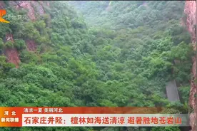 清凉一夏 美丽河北_石家庄井陉：檀林如海送清凉 避暑胜地苍岩山