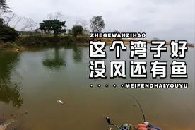 气温骤降太冷了，去水库背风的湾子路亚，鱼居然还飞出水面咬饵！