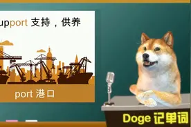 【Doge每日一词-狗狗讲英语】support 高考四六级英语真题词汇
