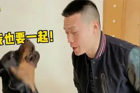 狗狗听见主人唱歌，竟然不自觉就跟着唱起来了，可怜这好嗓子了视频封面