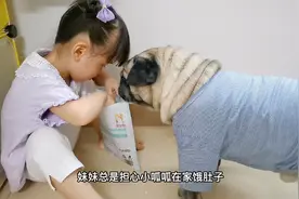 妹妹放学归来做的第一件事让狗子乐坏了，狗：果然是我宠大的孩子视频封面