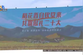 稻花香自钦堂来  共富献礼二十大视频封面