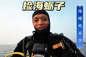 青岛天冷了，去捡点海蛎子补补，还有很多海螺和一只大海参，过瘾视频封面