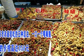 广西老表最爱吃的五种昆虫，一口一个嘎嘣脆，有的价格高达350元视频封面