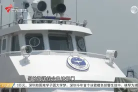 茂名滨海新区：多部门突击行动 清查“海上墟”视频封面