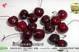 车厘子都用了“膨大剂”激素？关注记者做实验辟谣视频封面